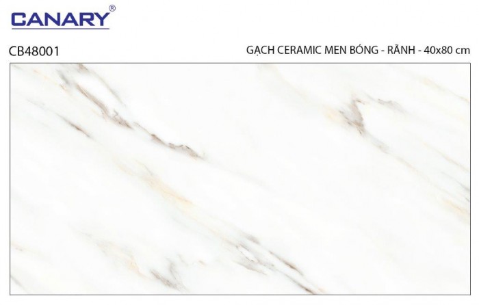 Gạch ốp tường TTC Canary CB48001
