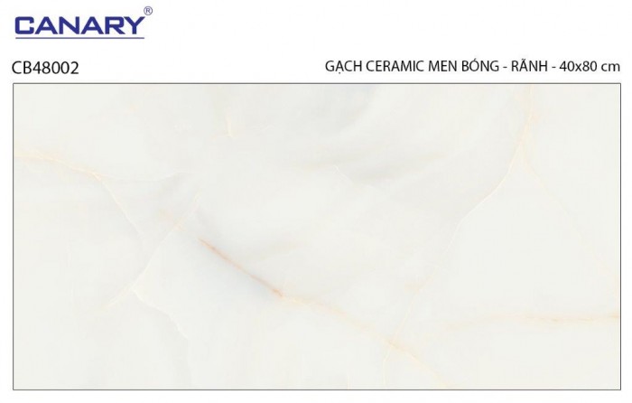 Gạch ốp tường TTC Canary CB48002
