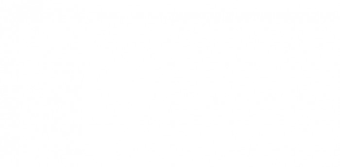 Gạch men ốp tường 40x80 TTC WB48000