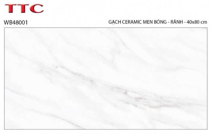 Gạch men ốp tường 40x80 TTC WB48001