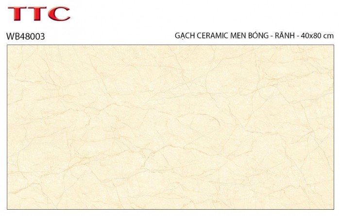 Gạch men ốp tường 40x80 TTC WB48003