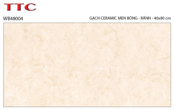 Gạch men ốp tường 40x80 TTC WB48004