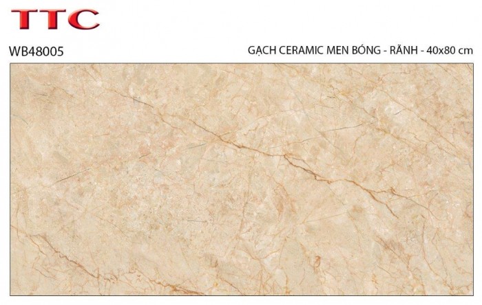 Gạch men ốp tường 40x80 TTC WB48005