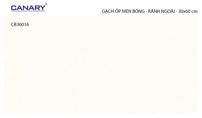 Gạch ceramic ốp tường TTC Canary CB36016
