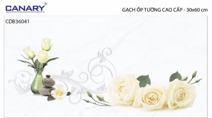 Gạch điểm ốp tường TTC Canary CDB36041