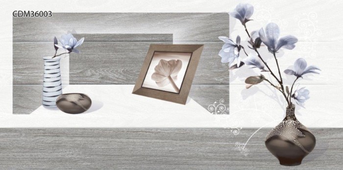 Gạch điểm ốp tường 30x60 TTC Canary CDM36003