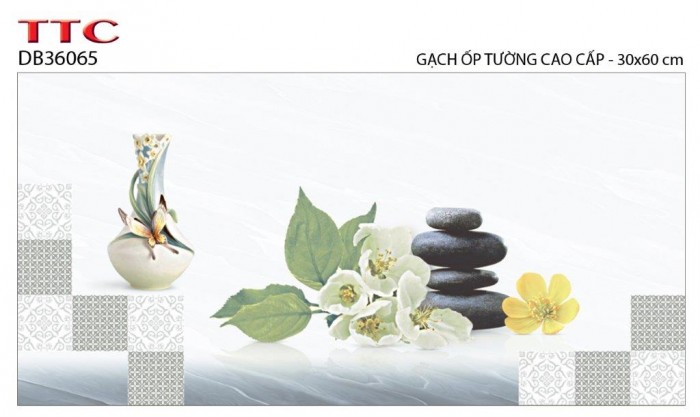 Gạch ốp tường điểm TTC DB36065