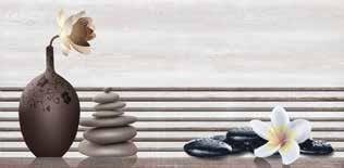 Gạch ốp tường điểm men Matt TTC DM36005