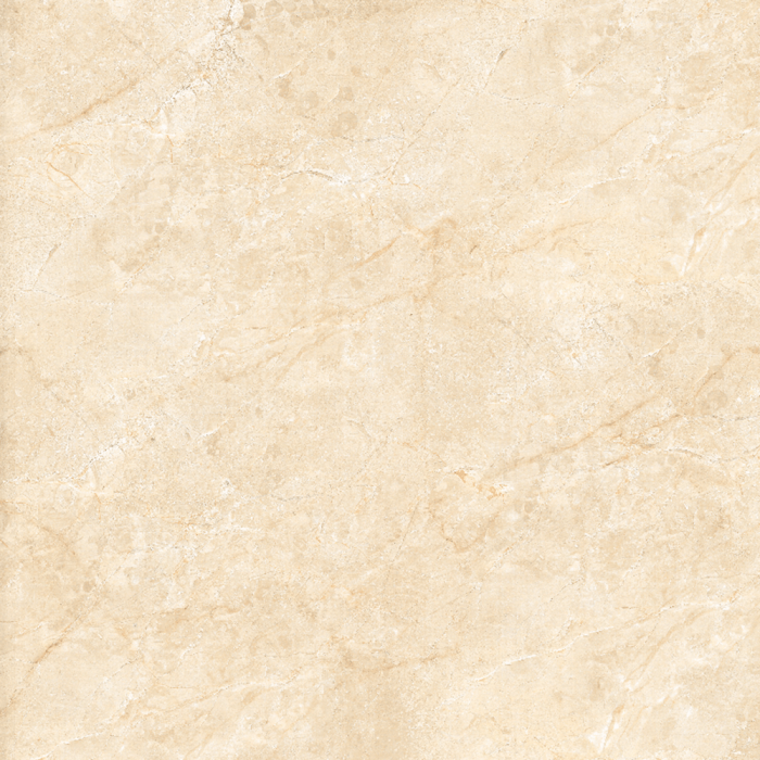 Gạch lát nền granite kỹ thuật số Viglacera MDP 623