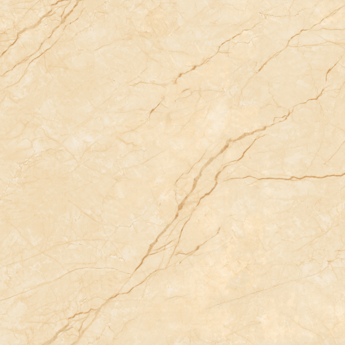 Gạch lát nền granite kỹ thuật số Viglacera MDP 822