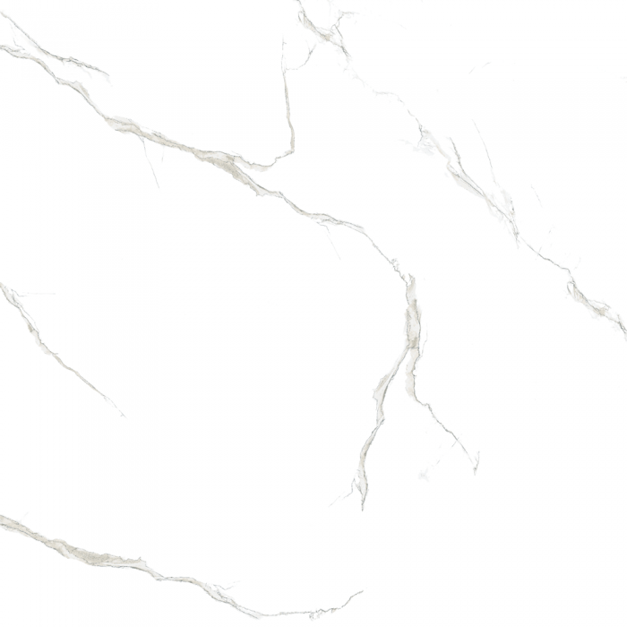 Gạch lát nền granite kỹ thuật số Viglacera MDP 821