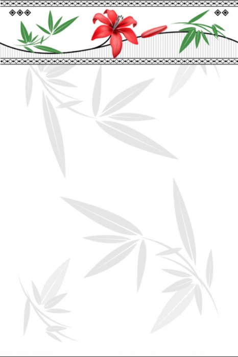 Gạch ốp tường điểm Mikado GM3462D