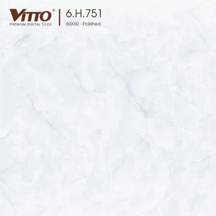 Gạch lát nền vân đá 60x60 Vitto 0751