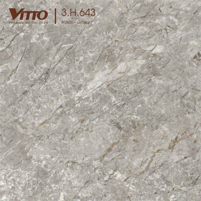 Gạch lát nền 60x60 Vitto 3H643