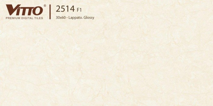 Gạch men ốp tường 30x60 Vitto 2514F1