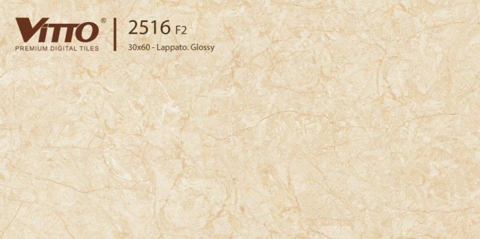 Gạch men ốp tường Vitto 2516F2