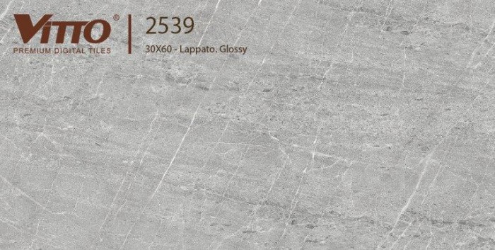 Gạch ceramic ốp tường Vitto 2539