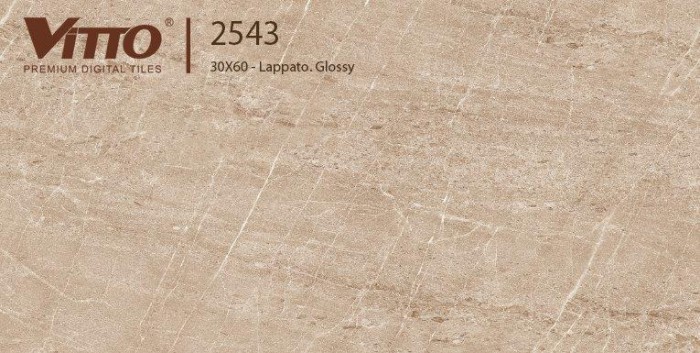 Gạch ceramic ốp tường Vitto 2543