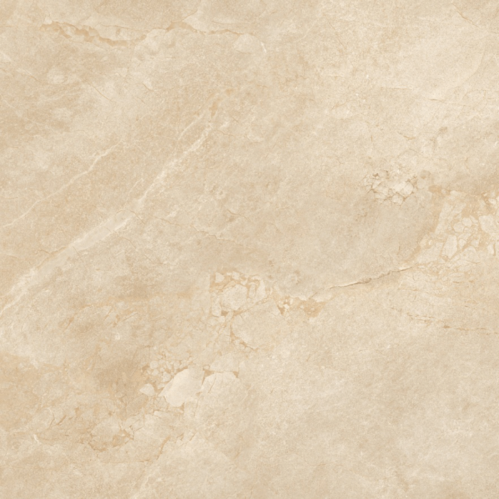 Gạch lát nền 60x60 Viglacera ECO-T605