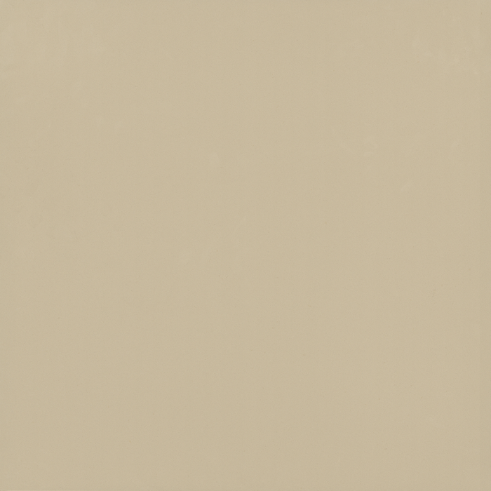 Gạch lát sàn Viglacera TS5-802