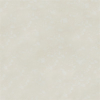 Gạch lát nền Đồng Tâm 600x600 6060PLATIUM003