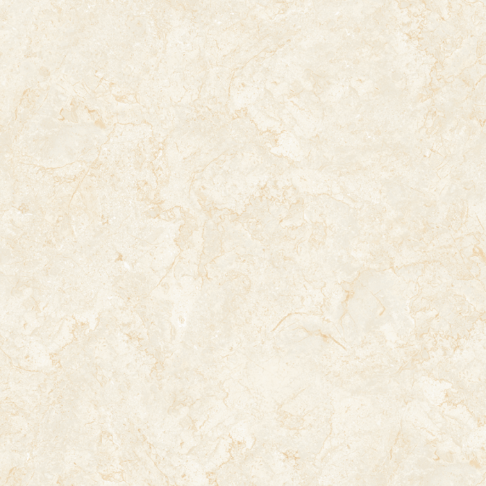 Gạch lát nền granite Viglacera TB 803