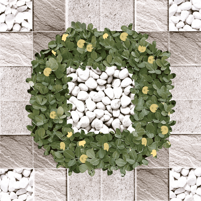 Gạch lát sân vườn Viglacera SG404 (Hết hàng)