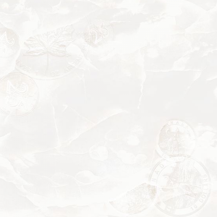 Gạch lát nền granite 60x60 Viglacera TB 652