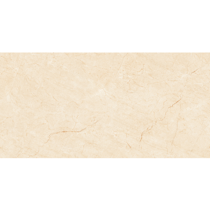 Gạch lát nền 60x120 Viglacera MD D61202