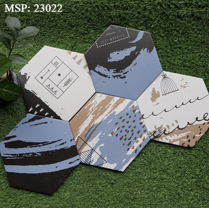 Gạch bông men lục giác nhập khẩu  200*230 CQ 23022