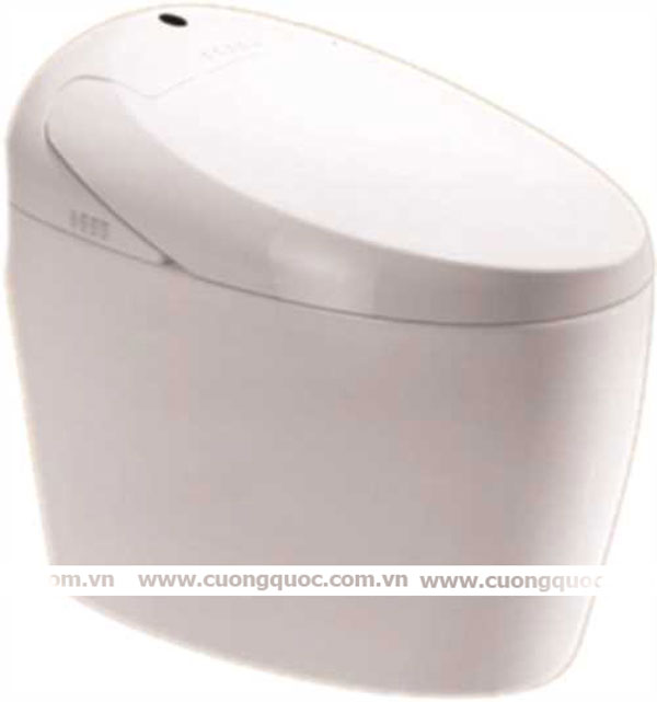 Bàn cầu Topy DP-3001