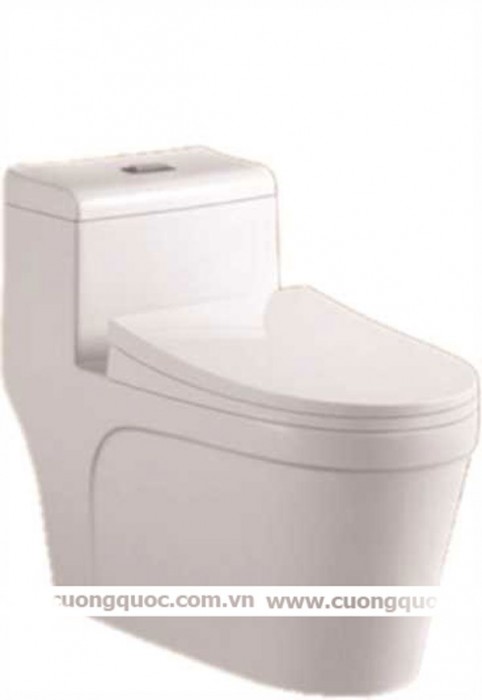 Bàn cầu liền khối Topy DP-2071