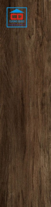 Gạch Thụy Sĩ nhập khẩu Indonesia GDW04 15x60