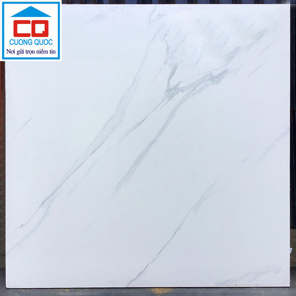 Gạch lát nền 60×60 Prime 9205 cao cấp