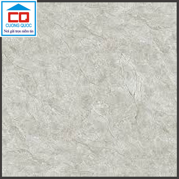Gạch lát nền 60×60 Prime 9806 cao cấp