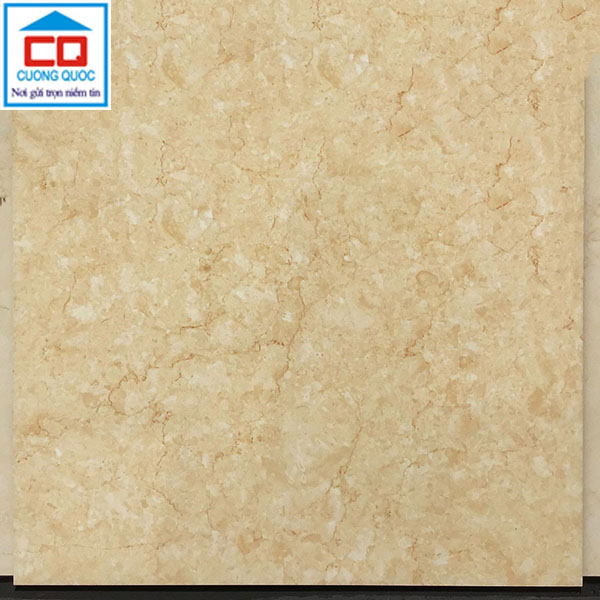 Gạch lát nền 50x50 Prime 17109