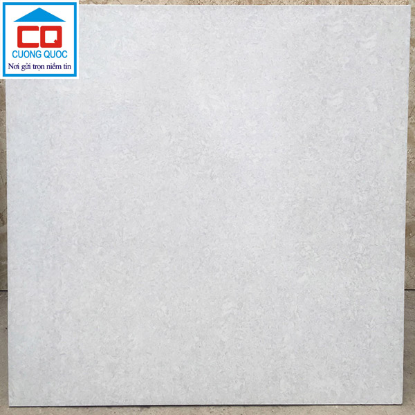 Gạch lát nền 50x50 Prime 2888