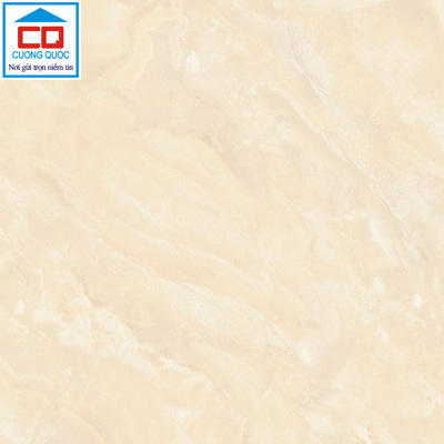 Gạch lát nền Prime 30x30 DG9323