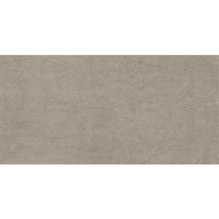 Gạch ốp tường Viglacera F3602