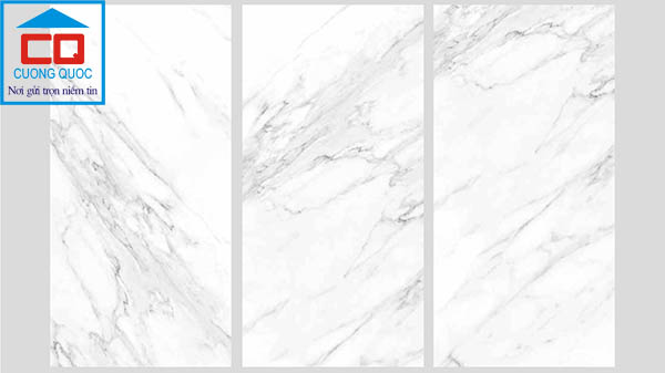 Gạch ốp lát nhập khẩu Trung Quốc ECO-RC-61210 chính hãng