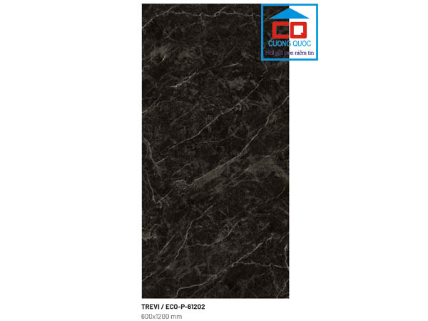 Gạch ốp lát nhập khẩu Trung Quốc ECO-P-61202 chính hãng