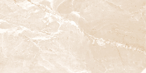 Gạch ốp lát Đồng Tâm 3060SAHARA010 chính hãng