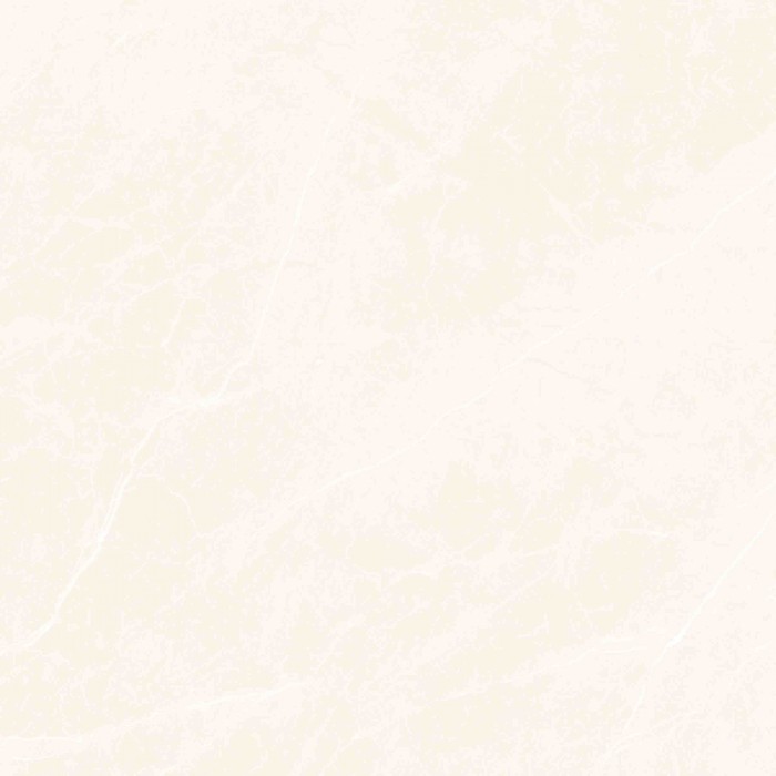 Gạch ốp lát Đồng Tâm 6060MOMENT007 chính hãng