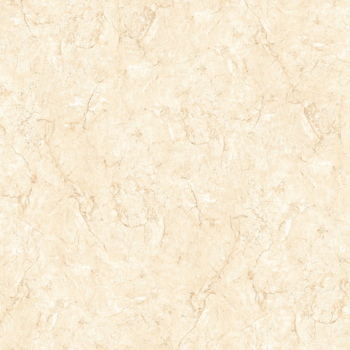 Gạch lát nền Đồng Tâm 8080FANSIPAN004-FP-H+ chính hãng