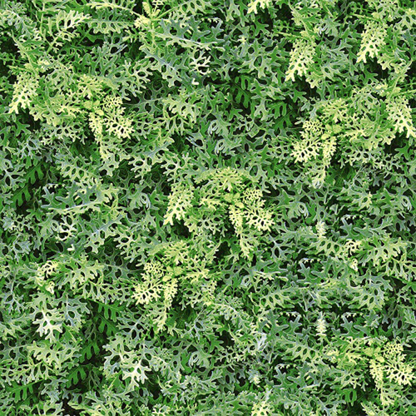 Gạch lát sân vườn Đồng Tâm 40x40 4040GREENERY001 (Hết hàng)