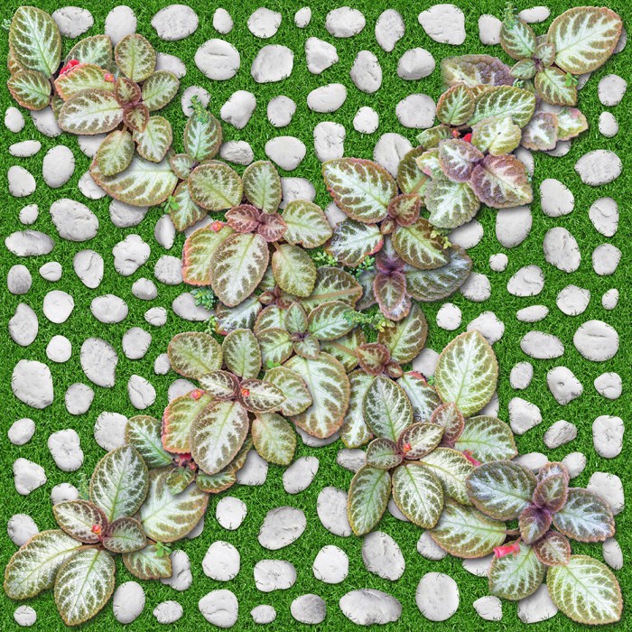 Gạch lát sân vườn Đồng tâm 40x40 4040GREENERY004 (Hết hàng)