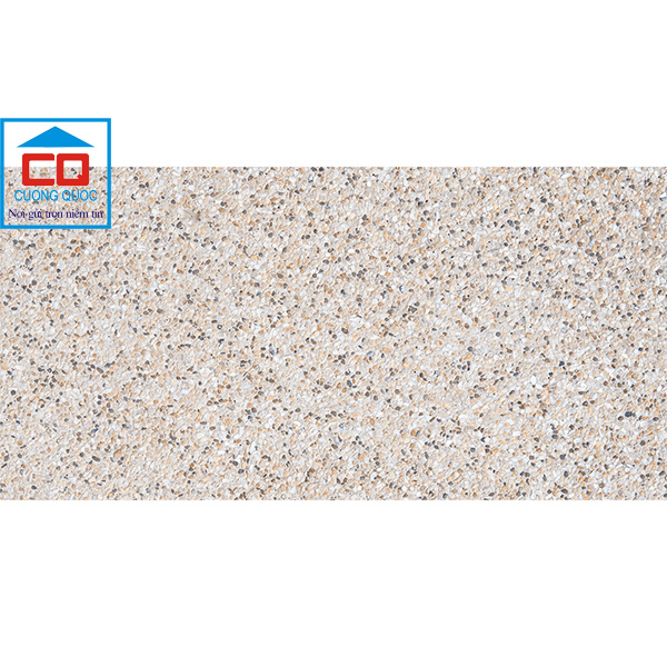 Gạch ốp lát Đồng Tâm 30x60 3060TAYBAC007 chính hãng