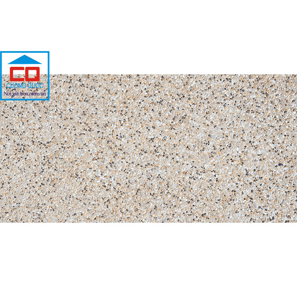 Gạch ốp lát Đồng Tâm 30x60 3060TAYBAC008 chính hãng