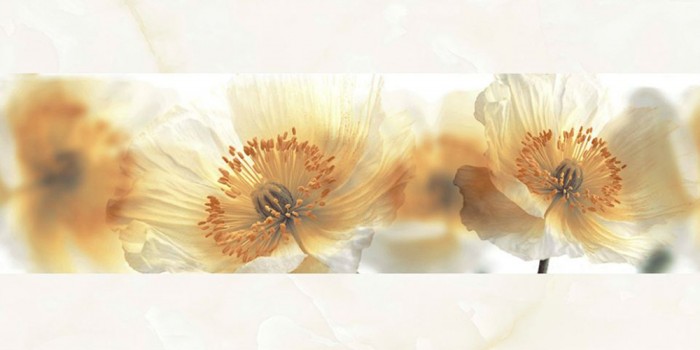 Gạch ốp tường Đồng Tâm 30x60 D3060ROXY007 chính hãng 