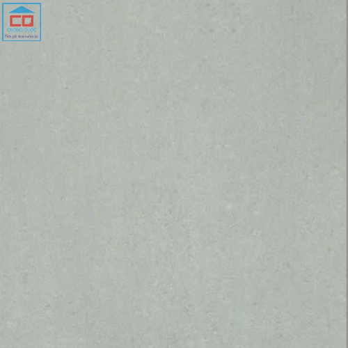 Gạch lát nền Taicera Double Loading series P67318N